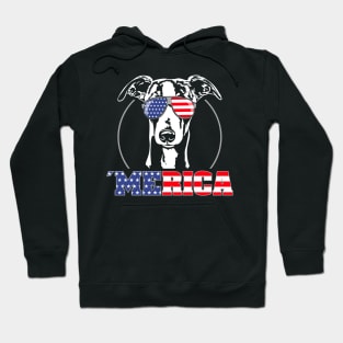 Proud Whippet American Flag Merica dog Hoodie